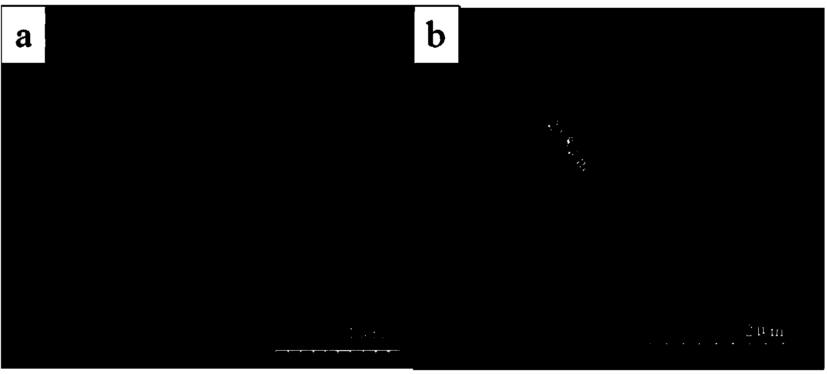 Method for preparing semimetallic state conductive titanium black nano-tube array