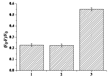 Fluorescent silver nucleinate as well as preparation method and application thereof