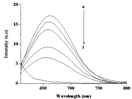 Fluorescent silver nucleinate as well as preparation method and application thereof