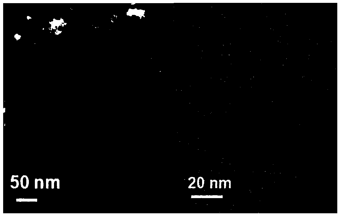 Method of reducing cadmium ions by M13 phage-mediated nano-iron