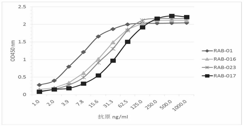 Monoclonal antibody for recognizing high-risk hpv E7 protein and its application