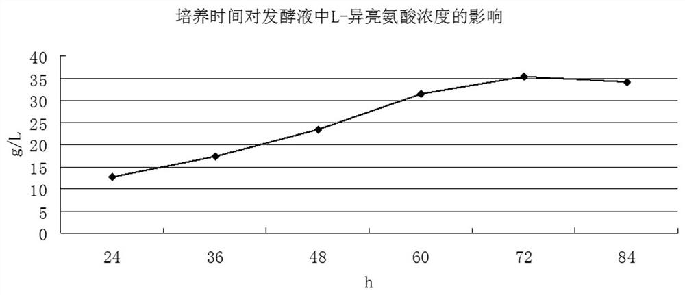 A kind of production and extraction process of l-isoleucine