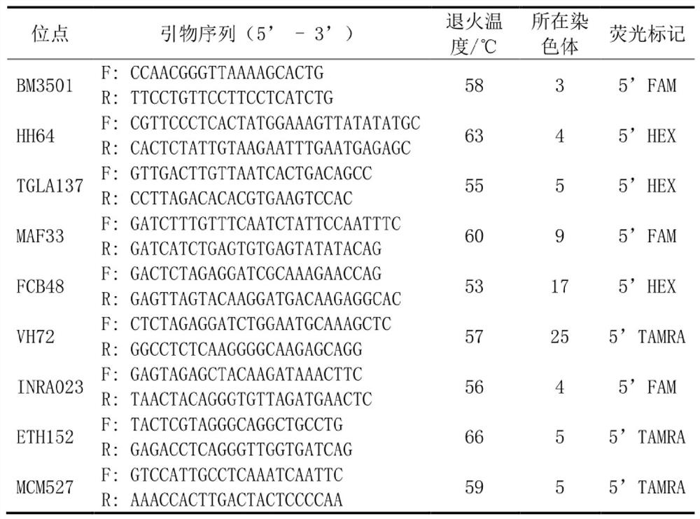 A method and application of microsatellite identification and division of Hu sheep family