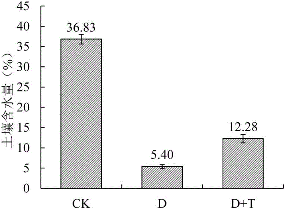 Method for improving drought resistance of seashore paspalum