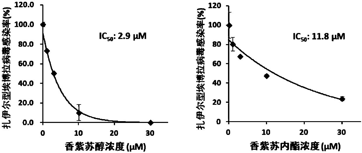 Application of sclareol and sclareolide in resisting filovirus infection