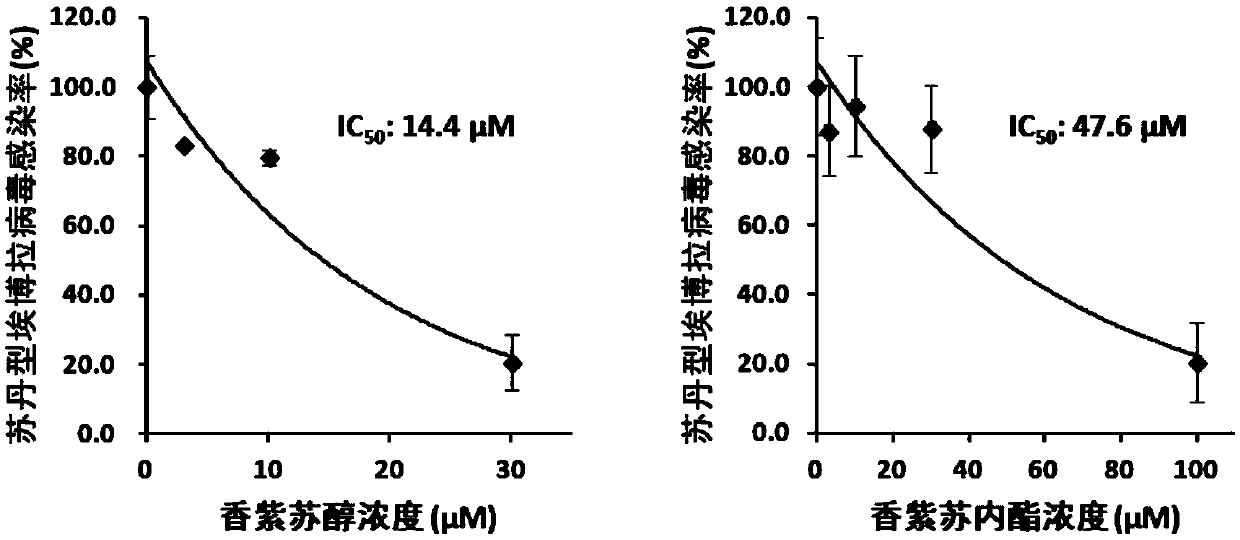 Application of sclareol and sclareolide in resisting filovirus infection