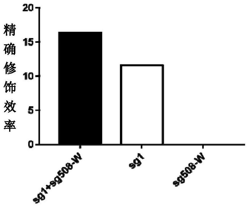 Double sgRNA-mediated precise genetic modification method and application