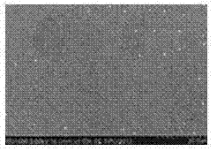 Cupronickel B30 having super-hydrophobic surface and preparation method thereof