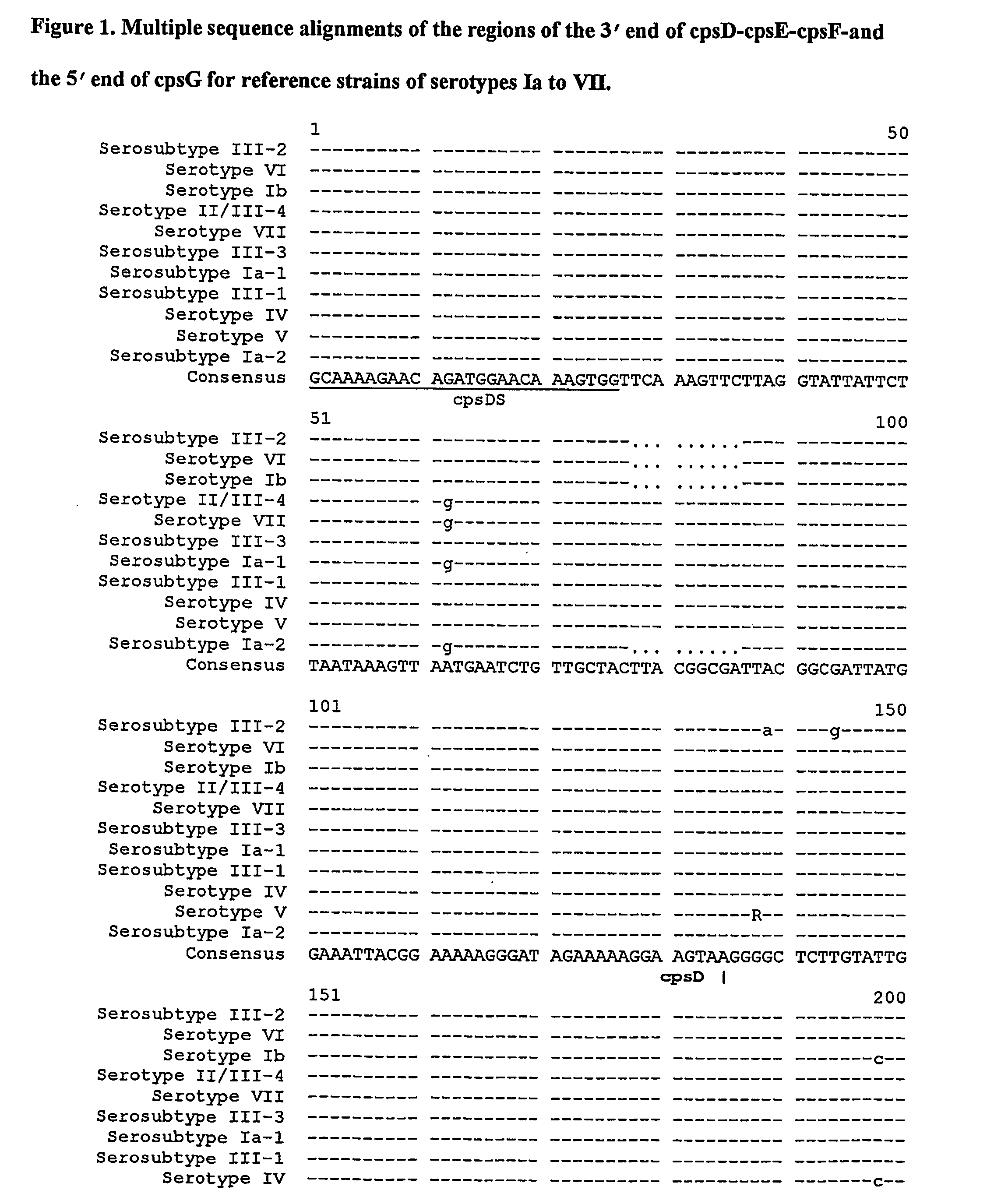 Molecular typing of group B streptococci