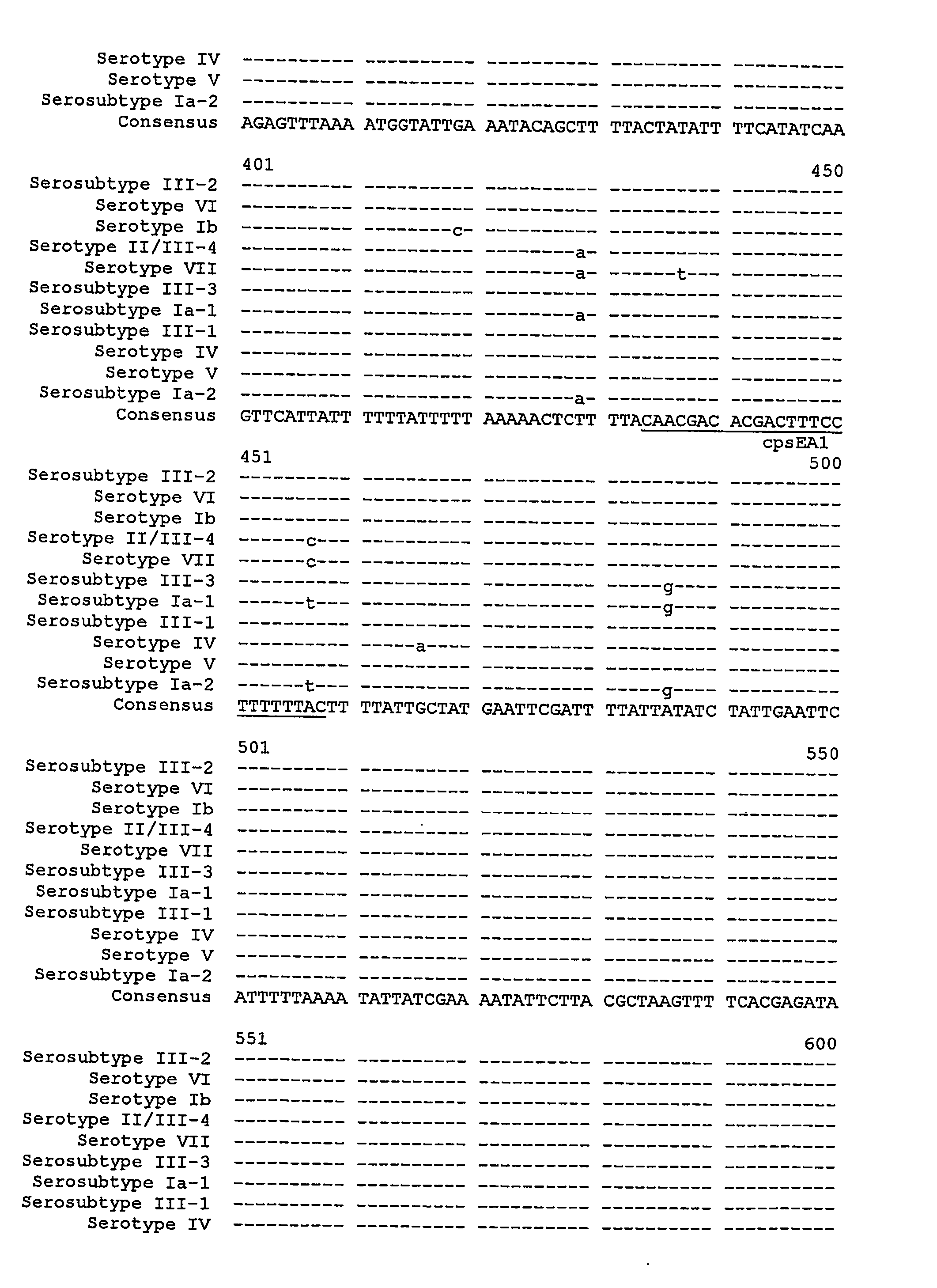 Molecular typing of group B streptococci