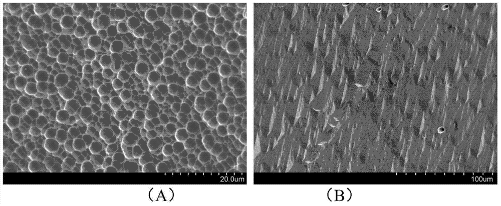 Diamond wire-cut polysilicon wafer with one-side texturing and texturing method thereof