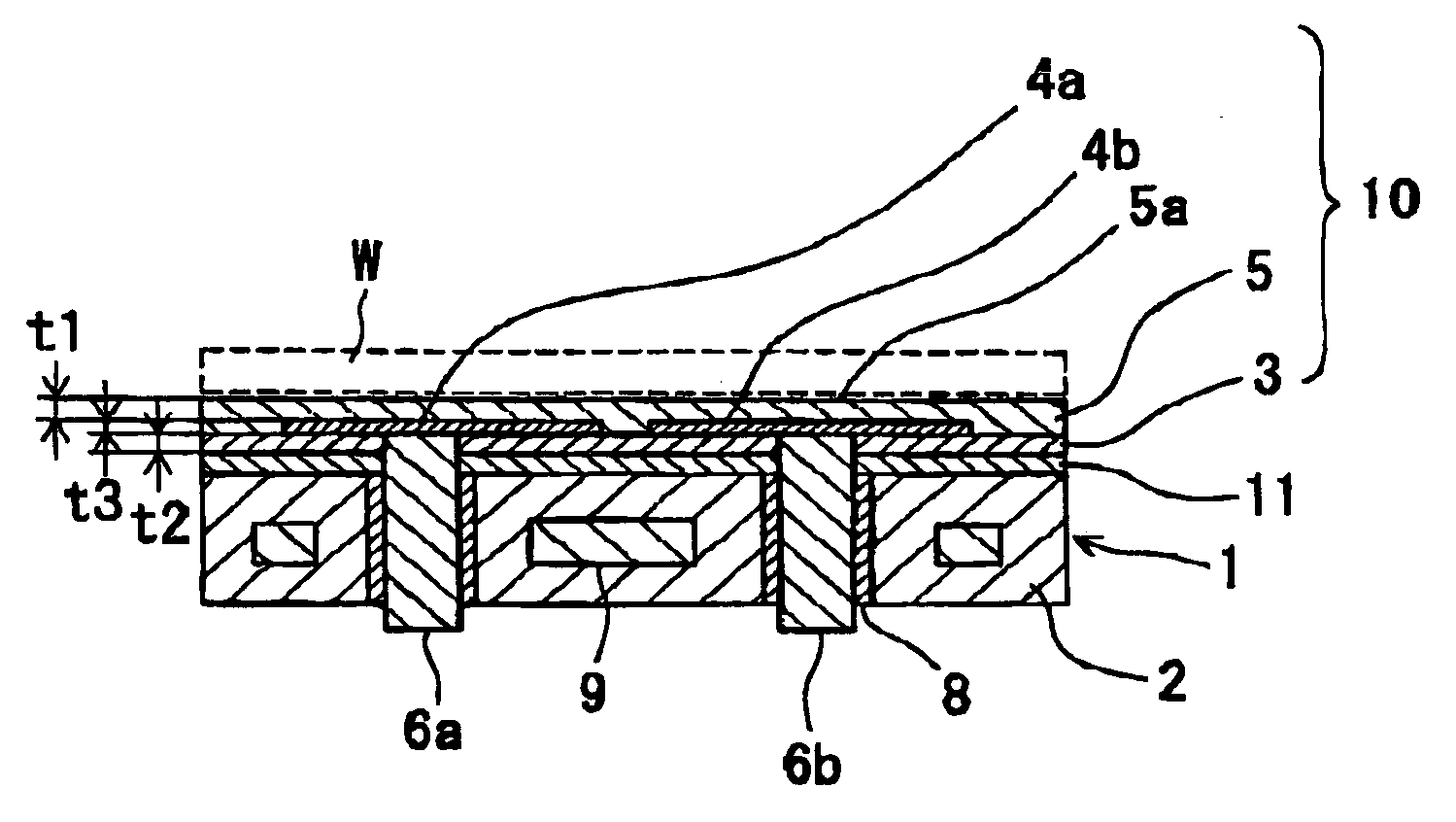 Wafer supporting member