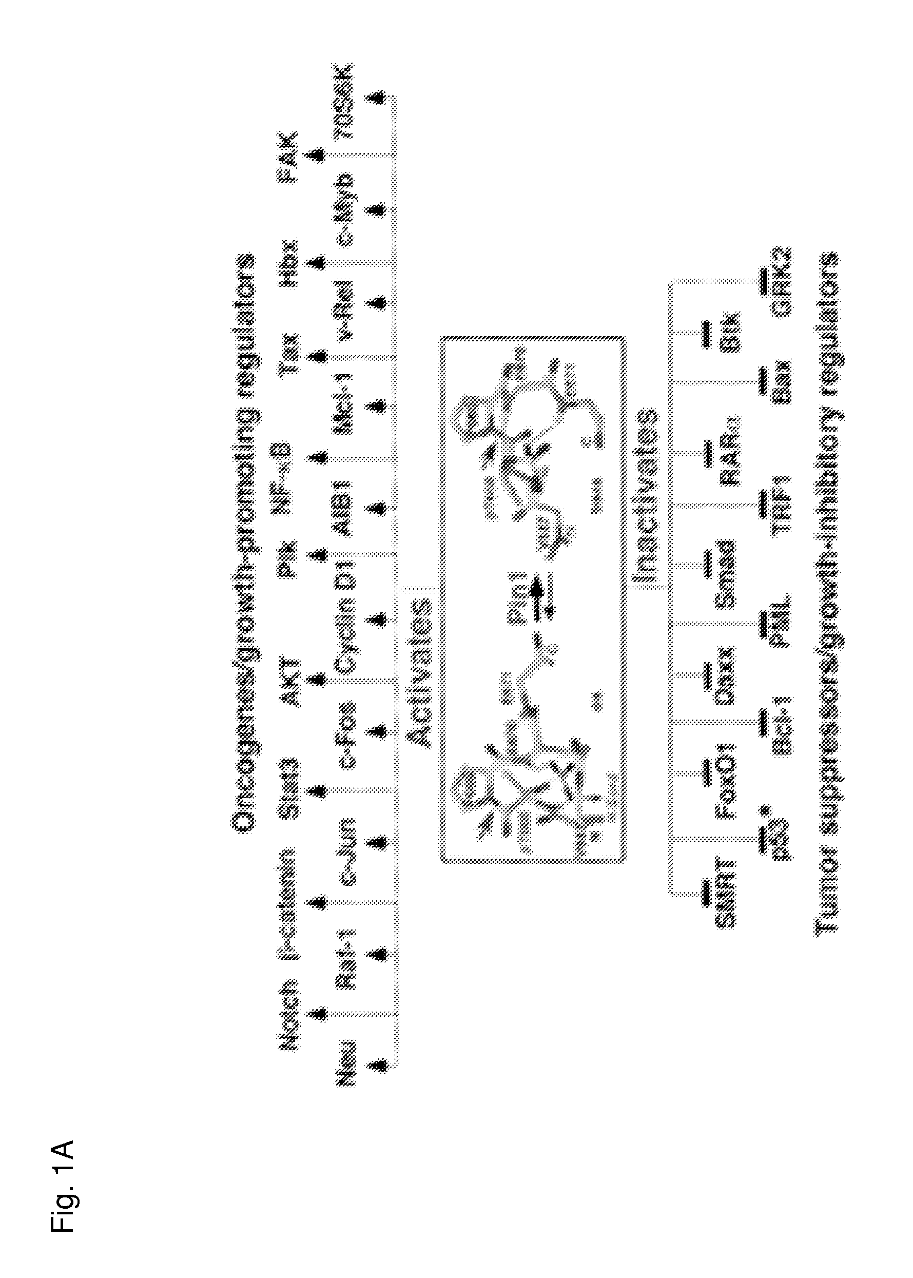 Methods and compositions for the treatment of proliferative disorders