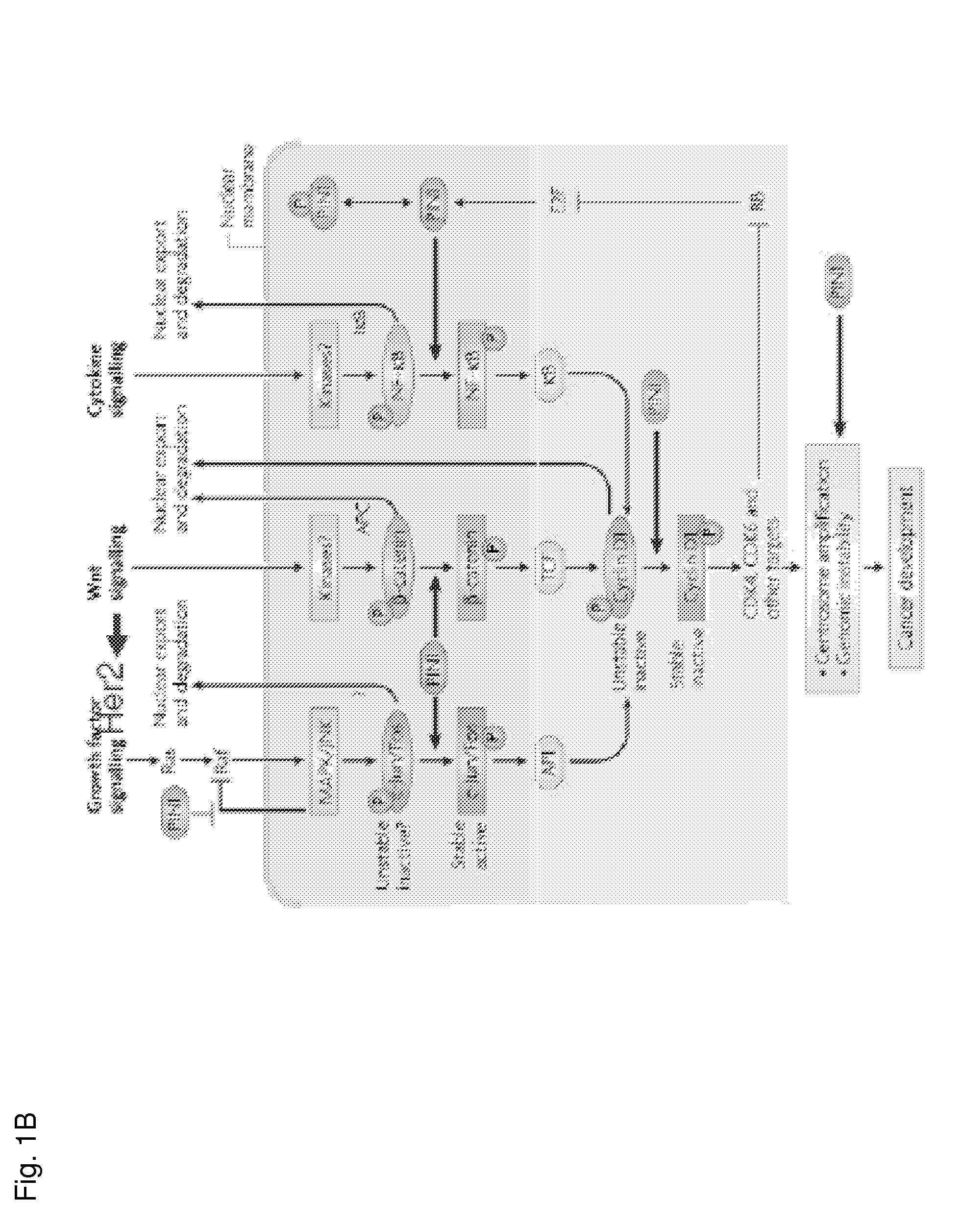 Methods and compositions for the treatment of proliferative disorders