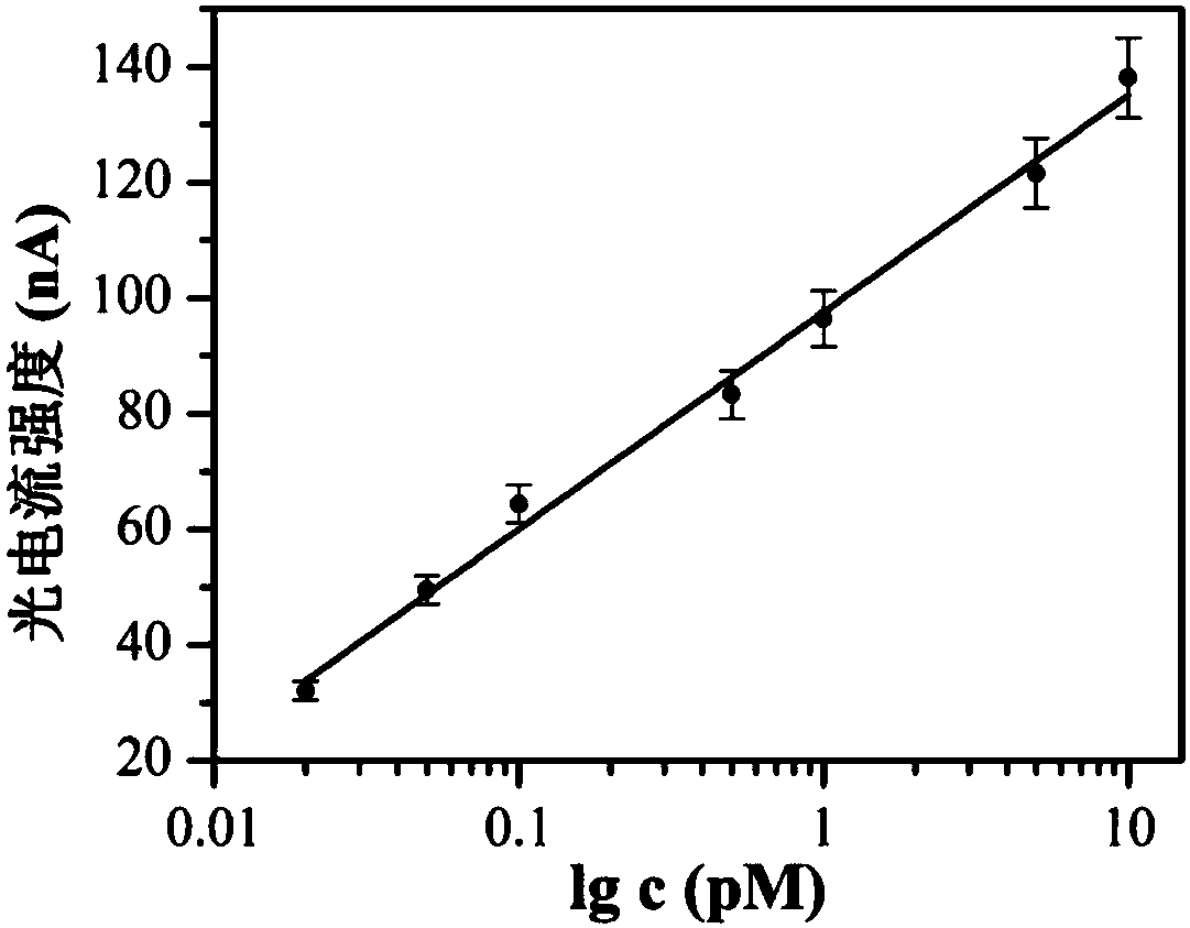 Preparation method and application of photoelectrochemical biosensor based on iridium complex