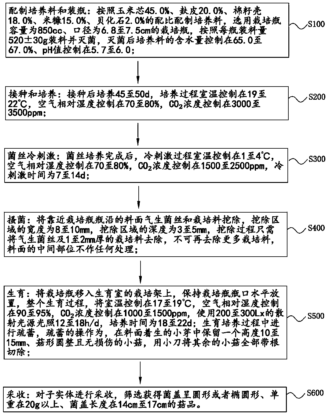 Bottled industrialized cultivation method of high-quality pleurotus ferulae