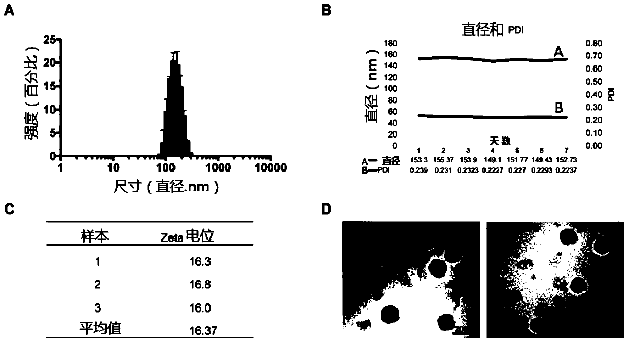 mRNA vaccine delivery carrier and preparation method thereof