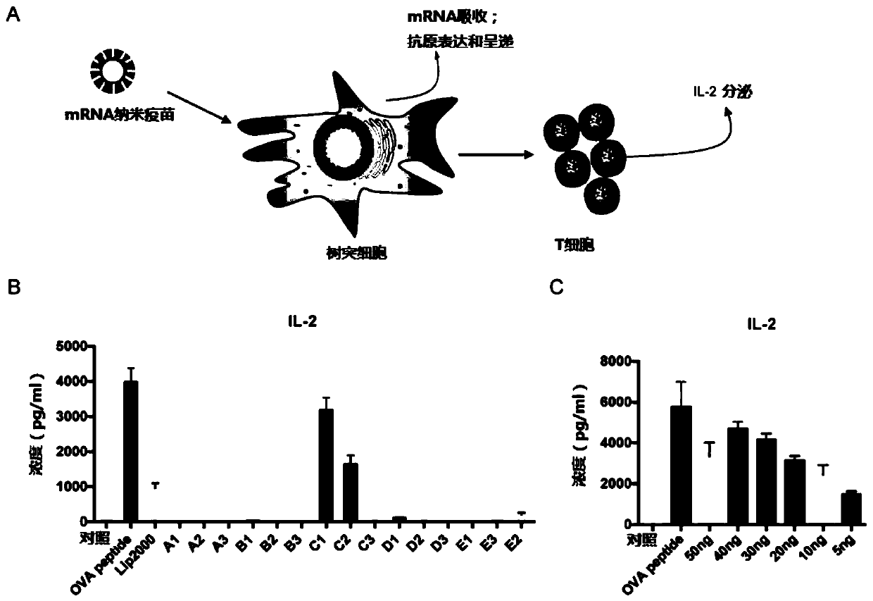 mRNA vaccine delivery carrier and preparation method thereof