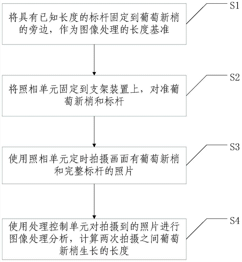 Young grape sprout growing rate measuring system and method based on machine vision