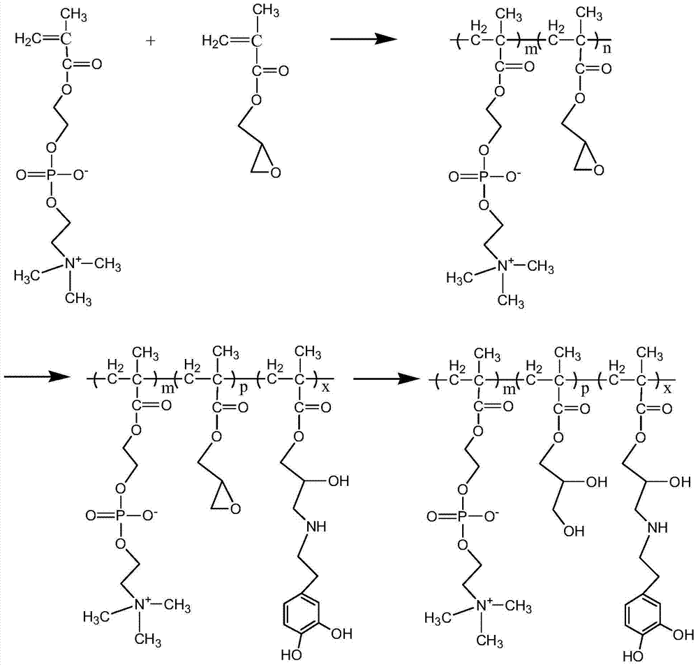 A kind of preparation method of double biomimetic polymer