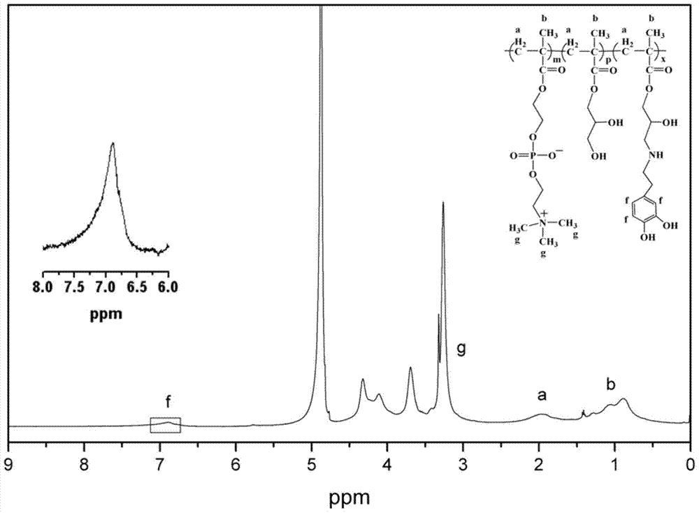 A kind of preparation method of double biomimetic polymer