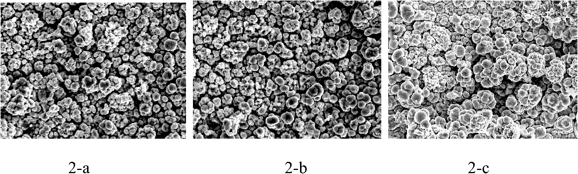 Method for performing continuous codeposition on Al-Mn alloy plating layer in molten salt system