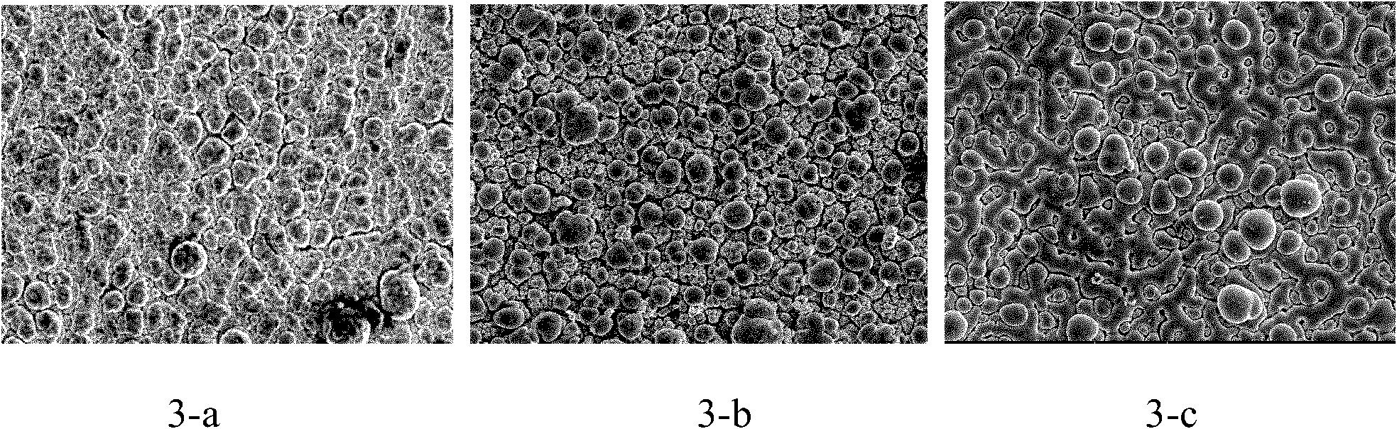 Method for performing continuous codeposition on Al-Mn alloy plating layer in molten salt system