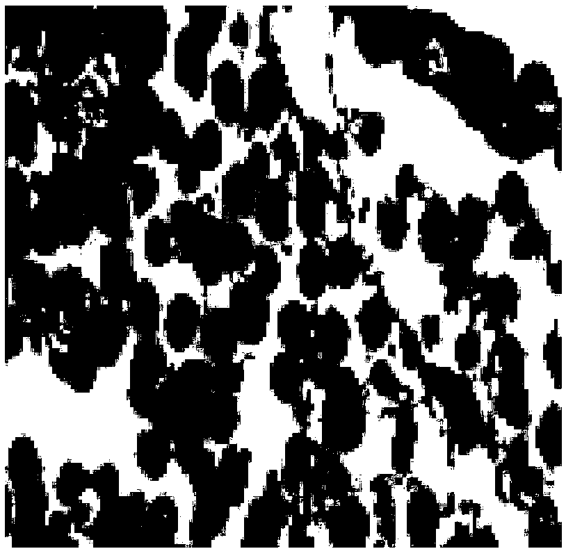 Hematoxylin staining solution and preparation method