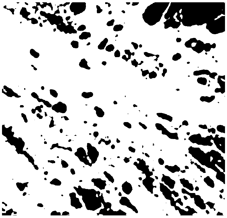 Hematoxylin staining solution and preparation method