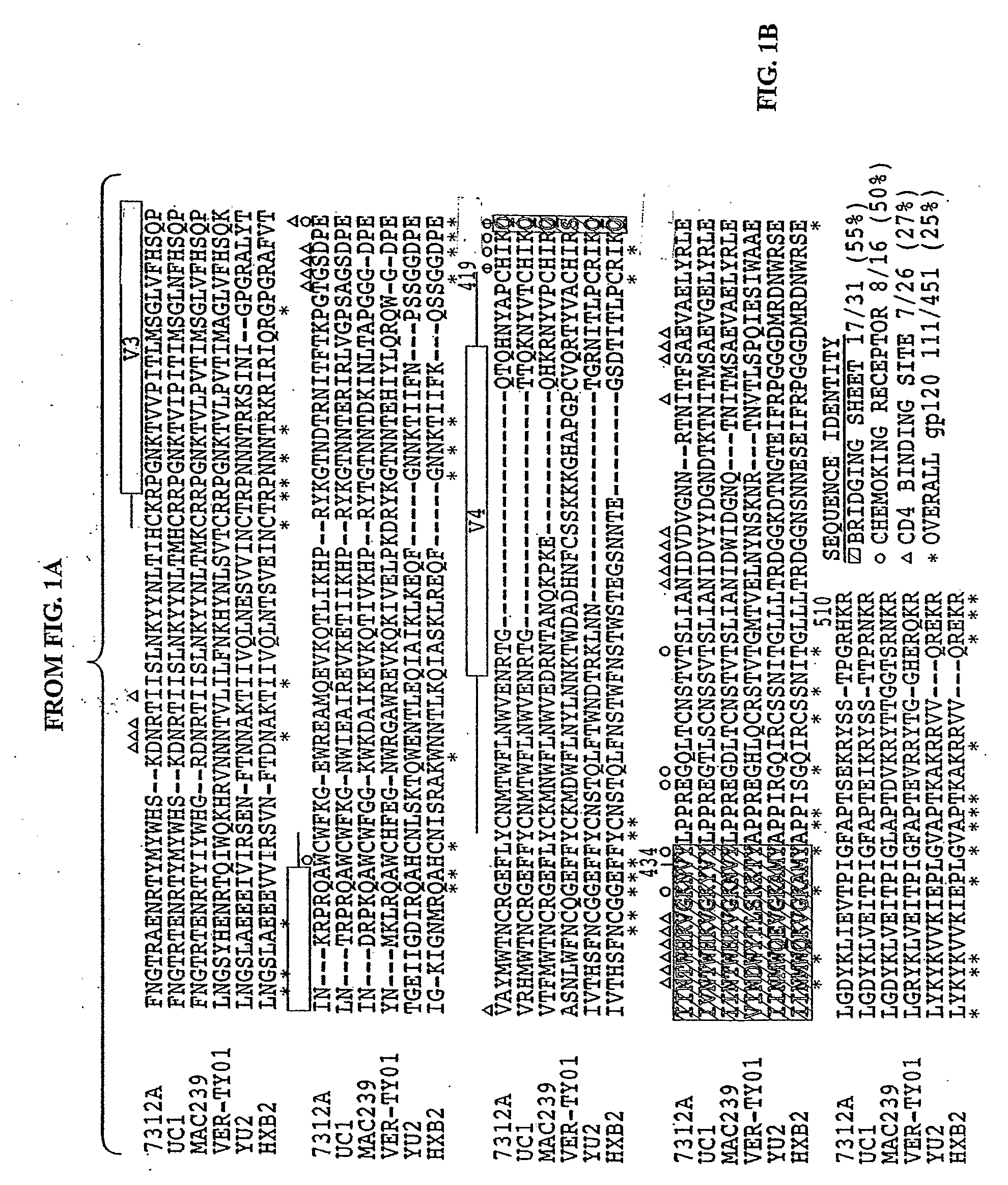 Molecular Scaffolds for HIV-1 Immunogens