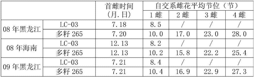 Applications of a predominately gynoecious selfing line LC-03 in pumpkin breeding