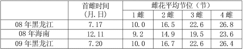 Applications of a predominately gynoecious selfing line LC-03 in pumpkin breeding