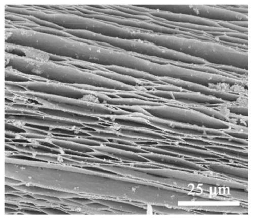 Batched preparation method of interlayer in-situ polymerization of graphene/polymer foams