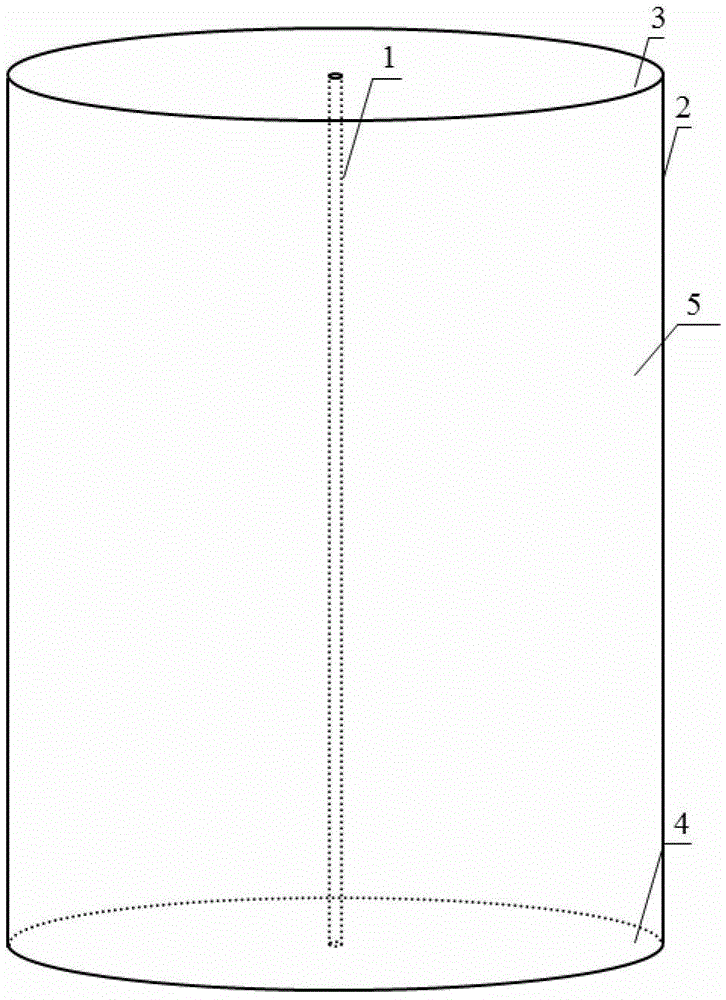 A detection performance testing device for an array induction logging tool