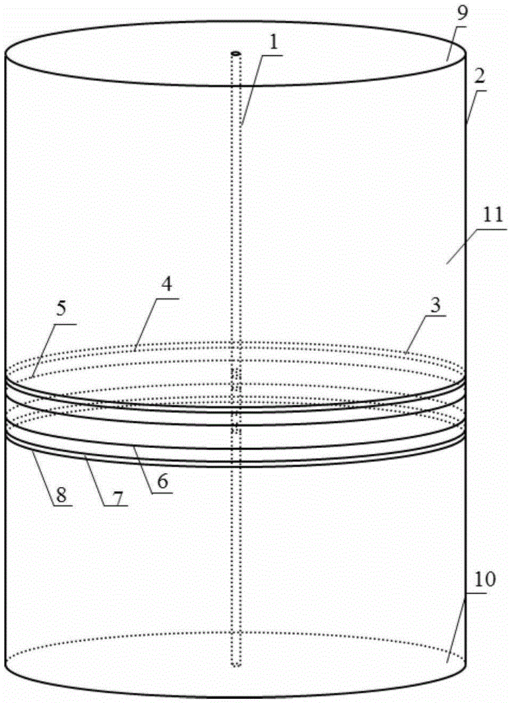 A detection performance testing device for an array induction logging tool