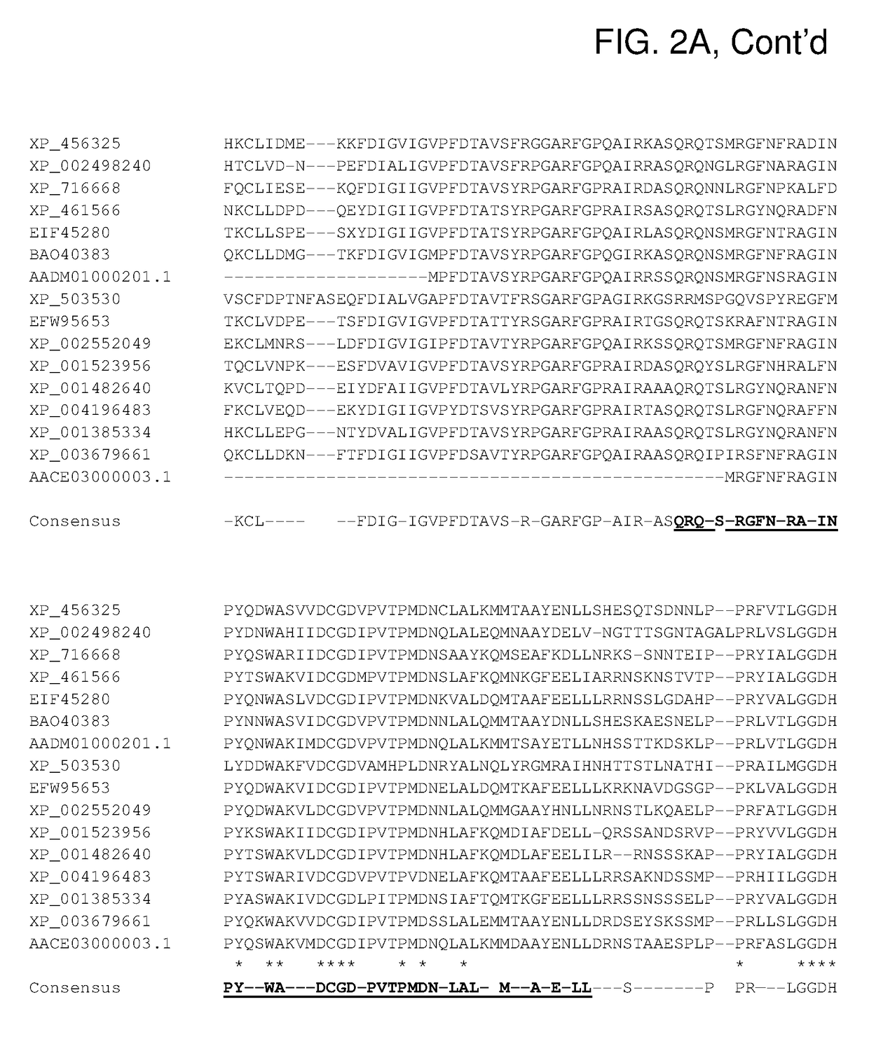 Ureohydrolases as dominant selectable markers in yeast