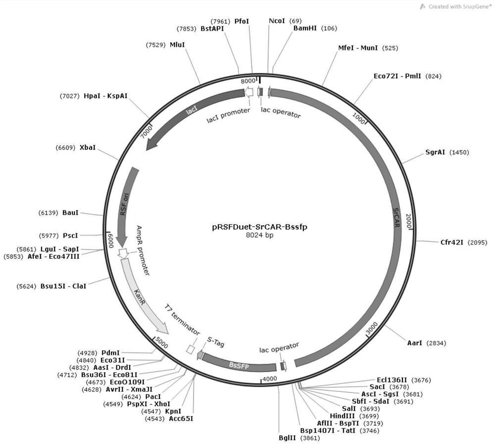 Carboxylic acid reductase recombinant plasmid as well as construction method and application thereof