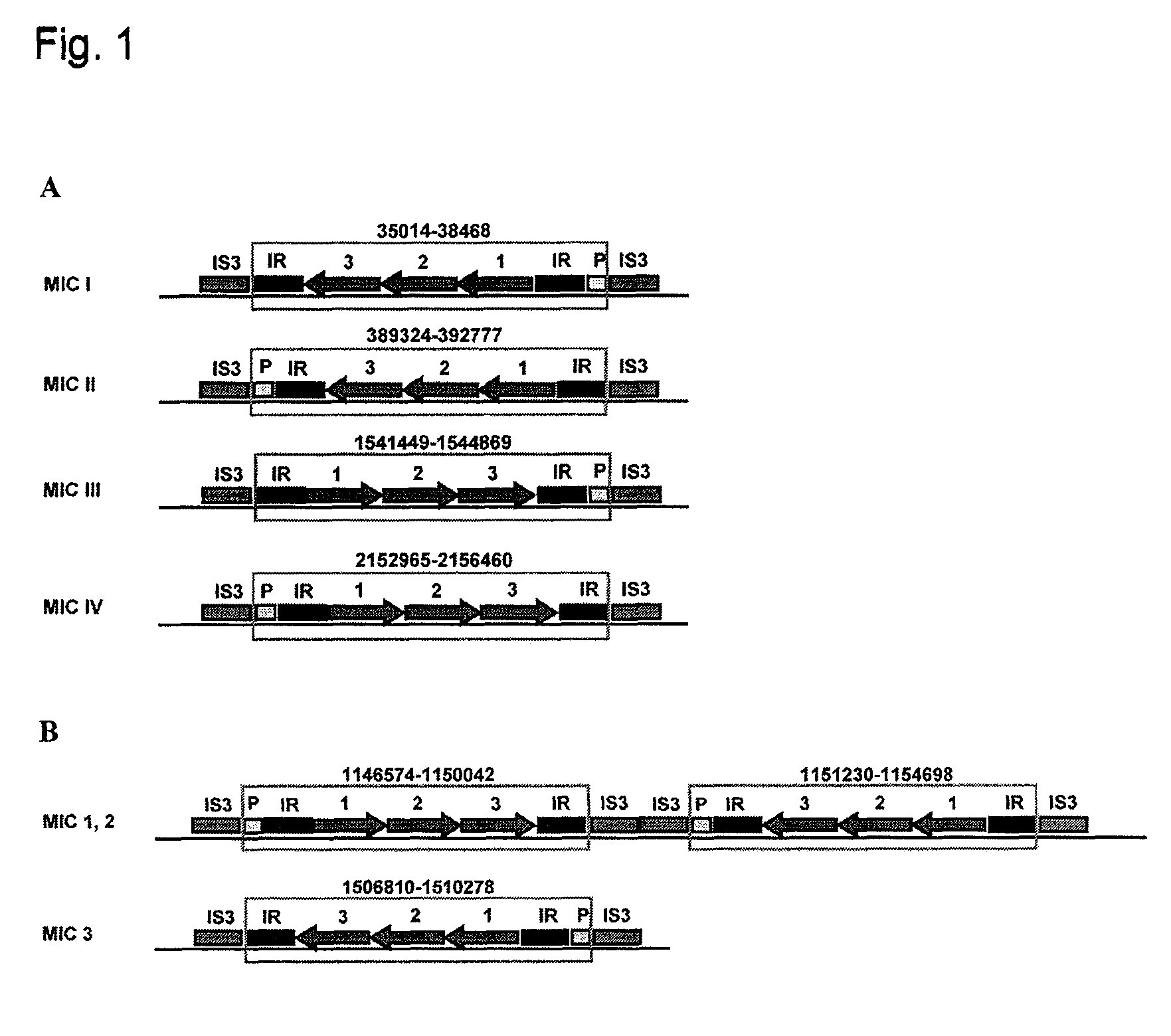 Lantibiotics and uses thereof