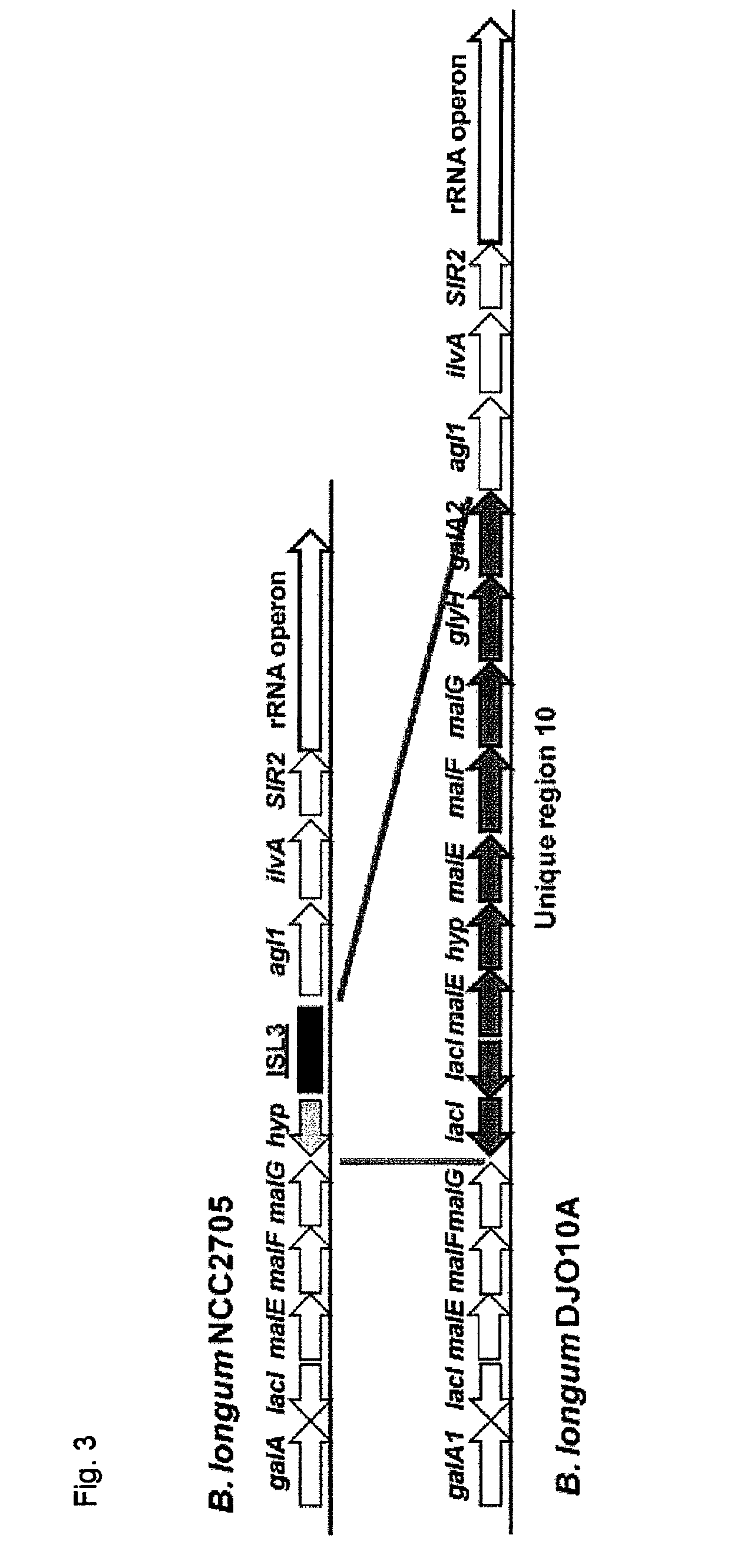 Lantibiotics and uses thereof