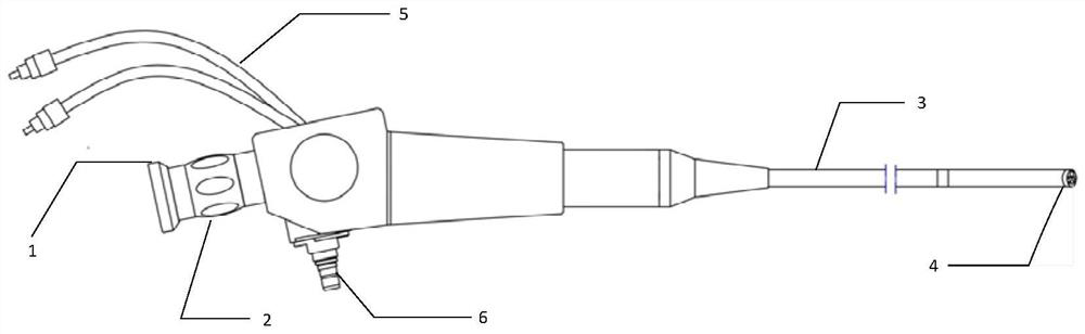 An endoscopic laser speckle blood flow imaging probe