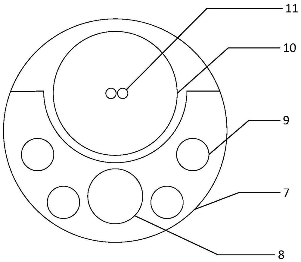 An endoscopic laser speckle blood flow imaging probe