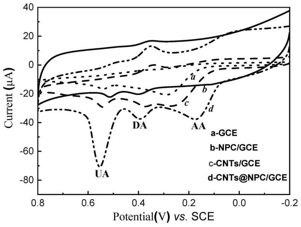 Preparation method and application of carbon nanotube wrapped nitrogen-doped porous carbon composite material