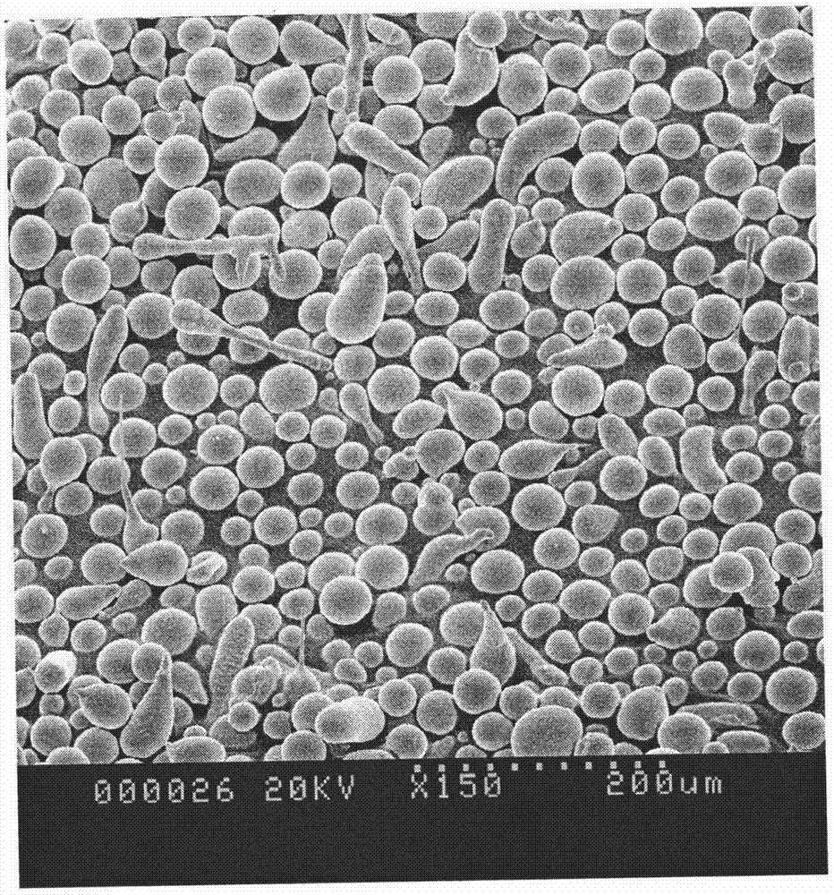 Method for preparing anticorrosion wear-resisting iron-based amorphous coating through laser cladding technology