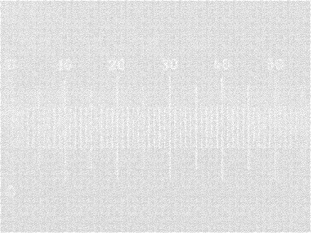 Blood vessel diameter measuring method based on digital image processing technology