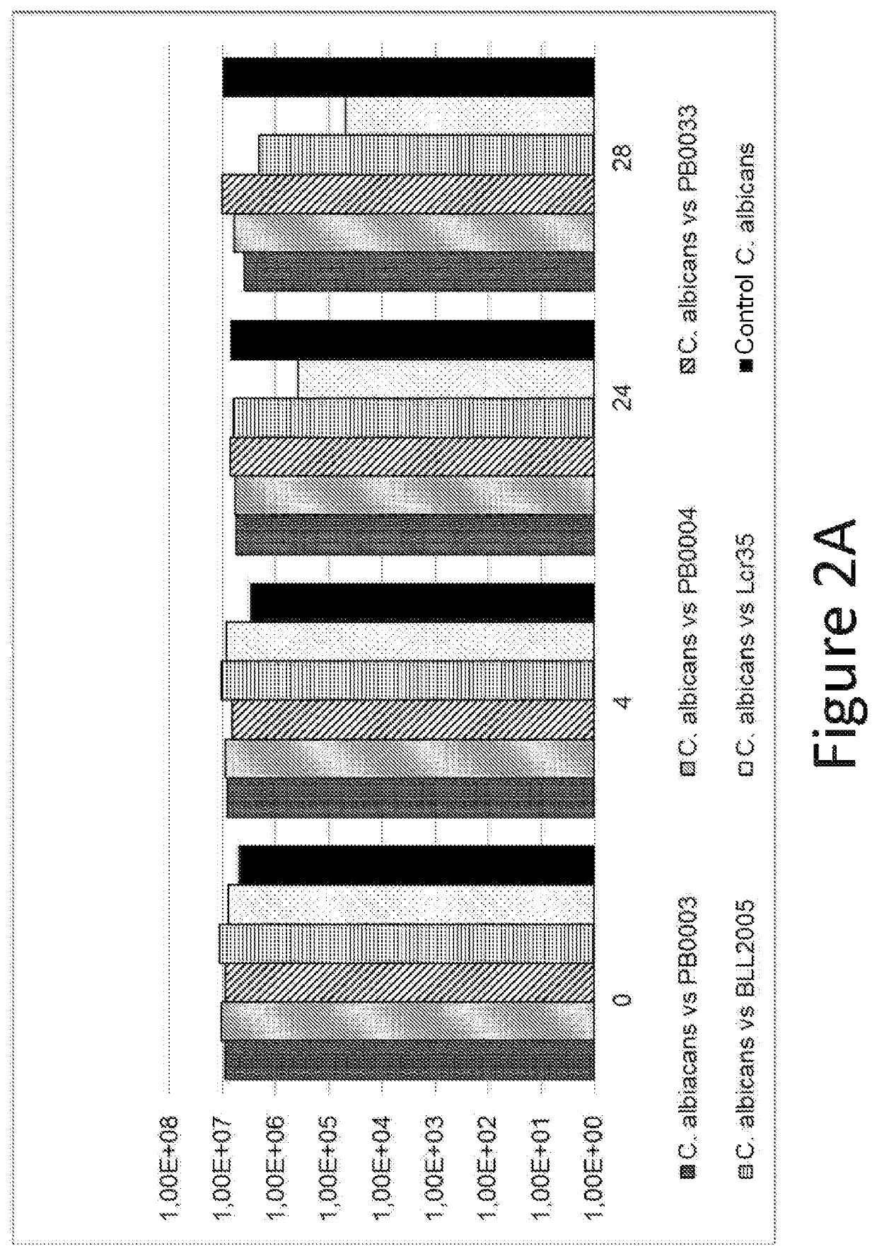 Use of thiosulfate to potentiate the anti-pathogenic effect of lactobacilli