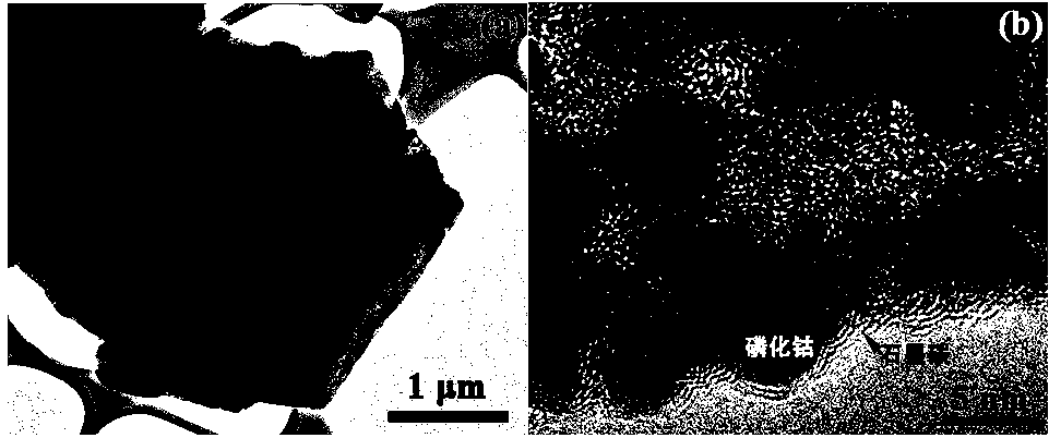 Polyhedral cobalt phosphide/graphite carbon hybrid material and its preparation method and application