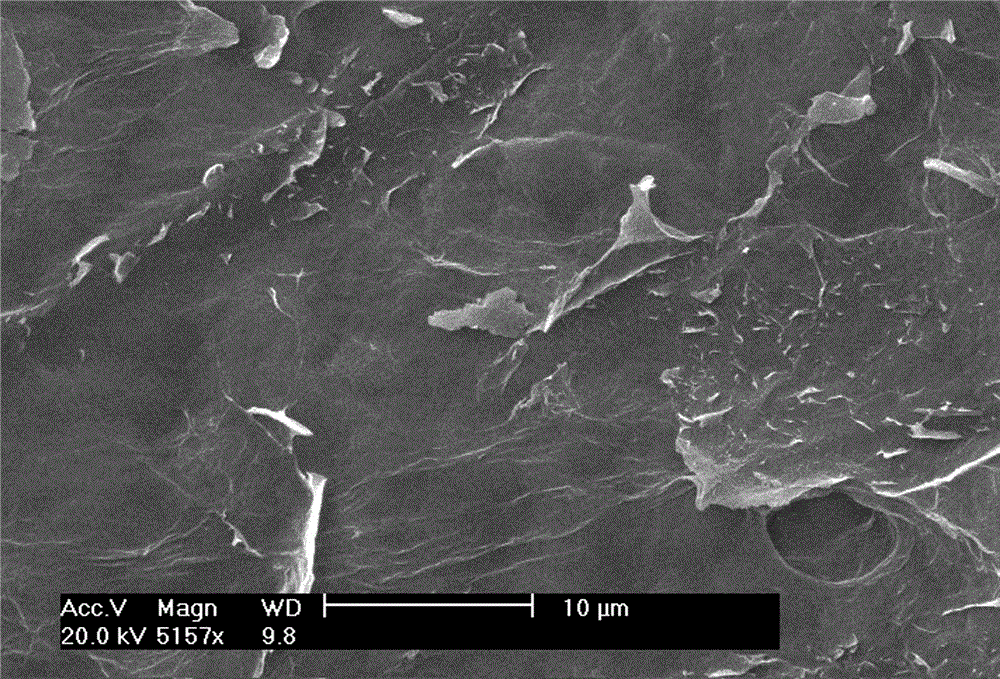 Eco-friendly safe reducing agent-based graphene and its preparation and application