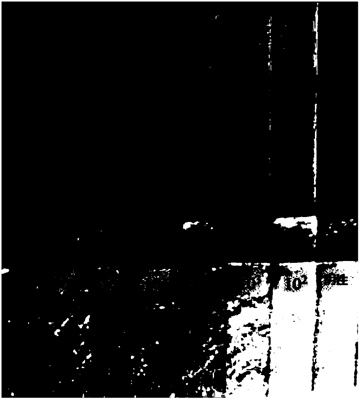 Method of detecting microorganisms and application thereof