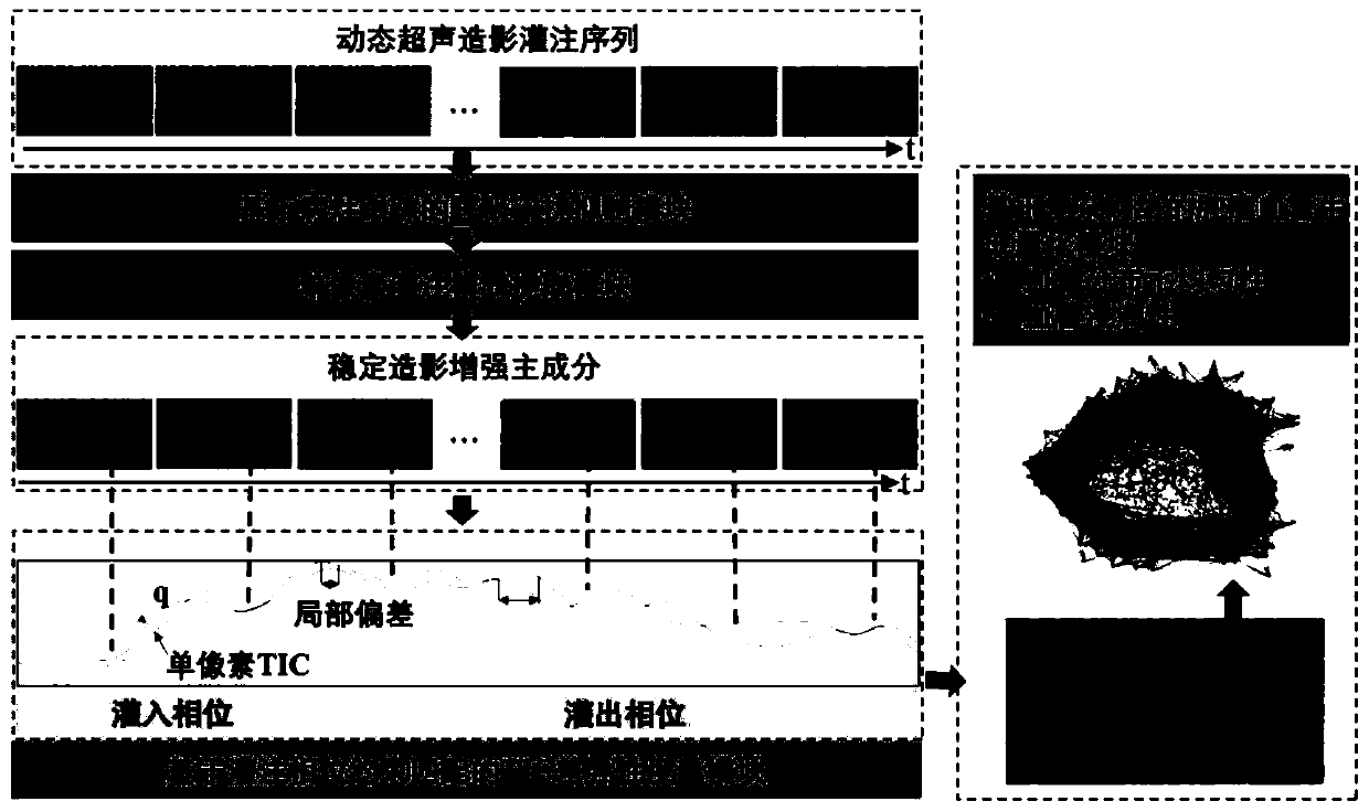 Liver tumor angiogenesis quantitative analysis method based on dynamic ultrasound contrast