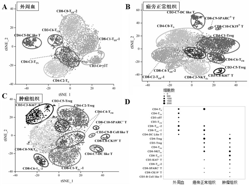 Bladder cancer exhausted T cell subset as well as characteristic genes and application thereof